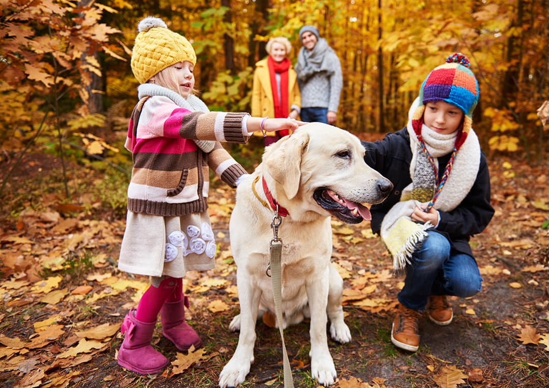 Urlaub mit Hund - Familienausflug im Wald im Herbst